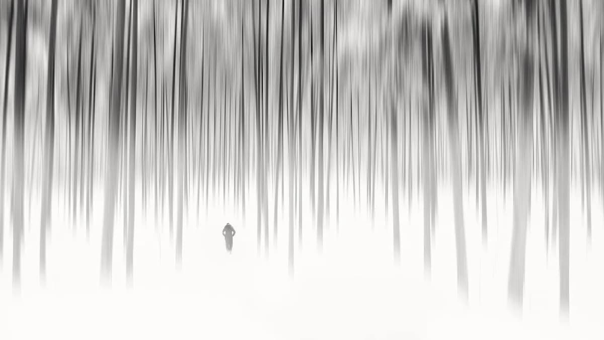 August Naude Photography & Photo Artistry in The Moot