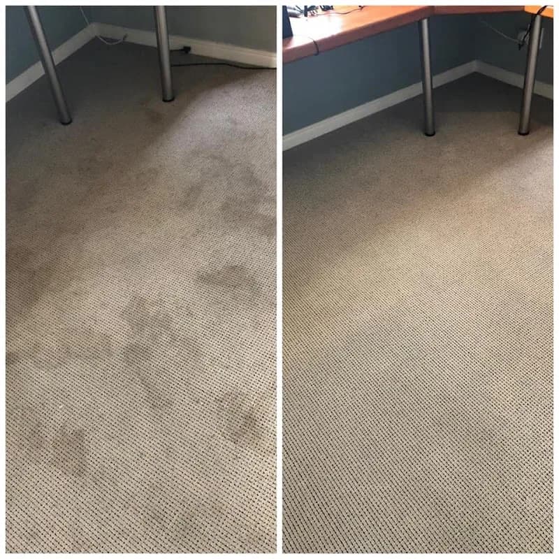 Hydra and Calypso Cleaning Services in Durbanville