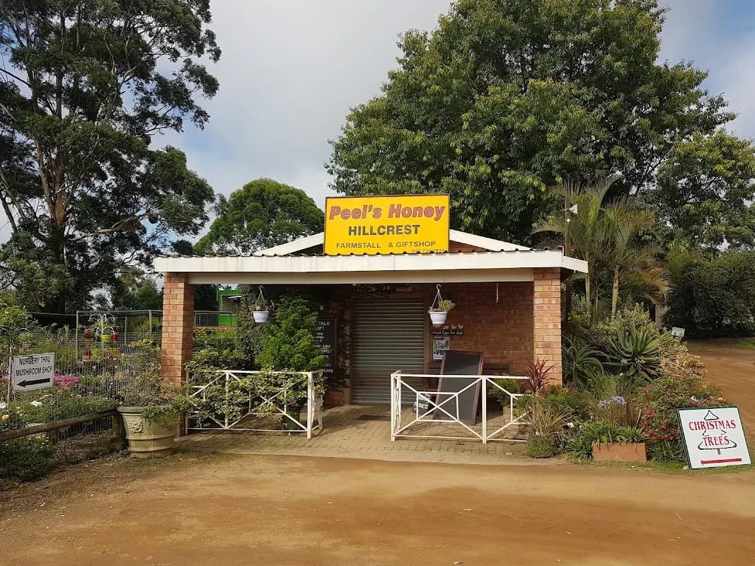 The Mushroom Farm in Hillcrest