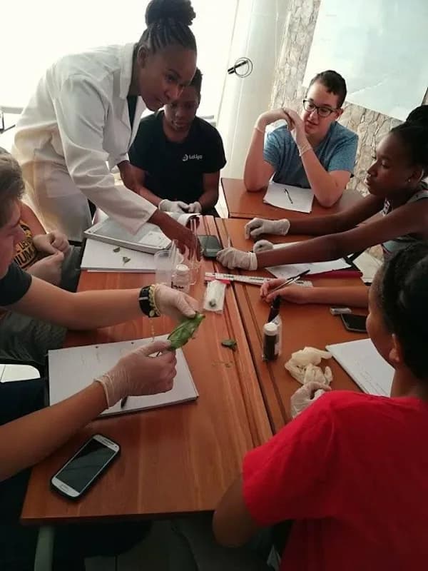 Edu-phyllic Learning Centre in Alberton