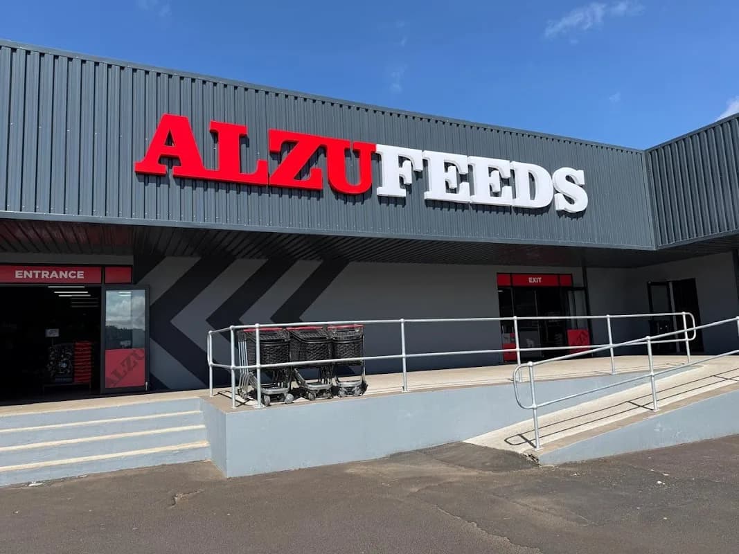 Alzu Feeds Witbank in Del Judor