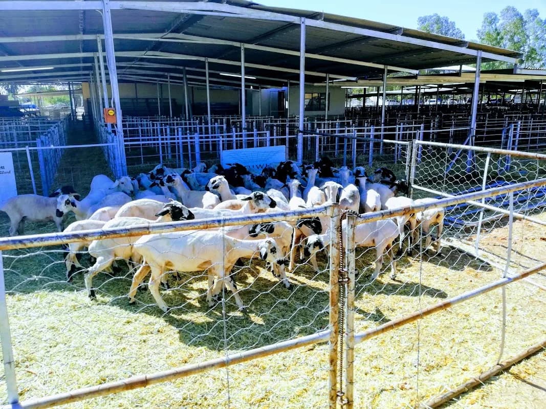 Upington Showgrounds in Industrial Area
