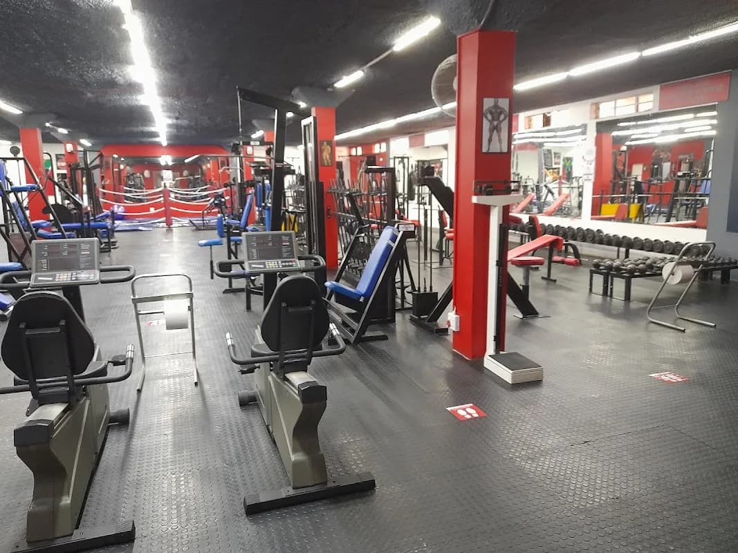 Muscle Zone Health & Fitness Private Gym in Northcliff