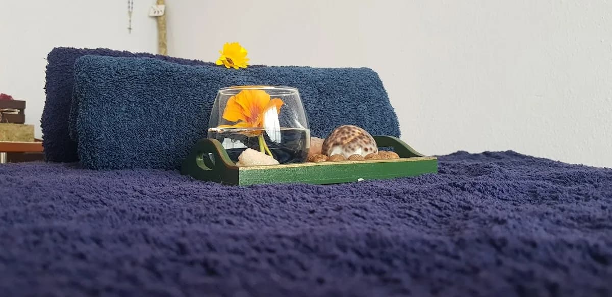 Magenta Colour Therapy - Massage, Reflexology, Antaneea Technique, Access Bars, Aromatherapy in Edenvale