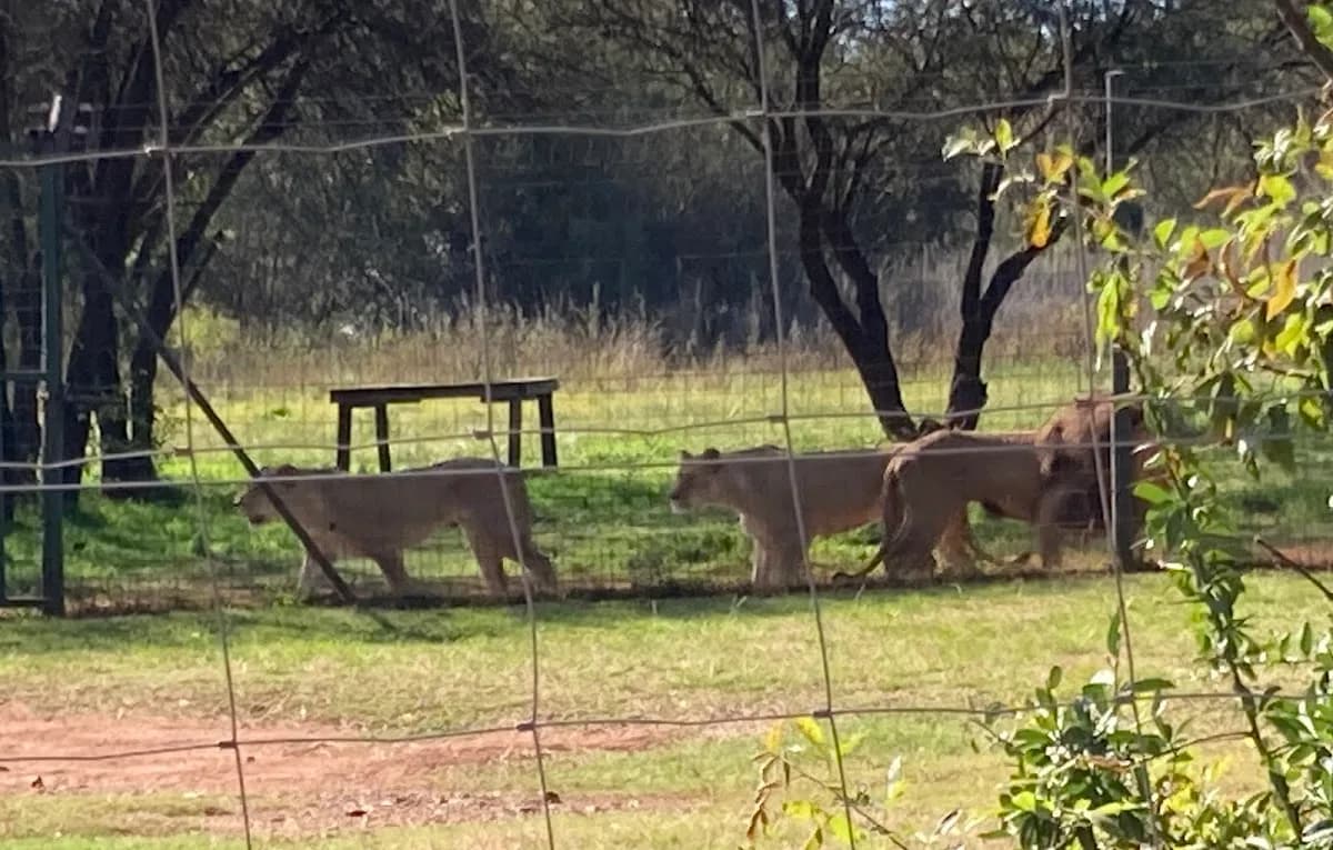 Glen Afric Learning Centre in Broederstroom
