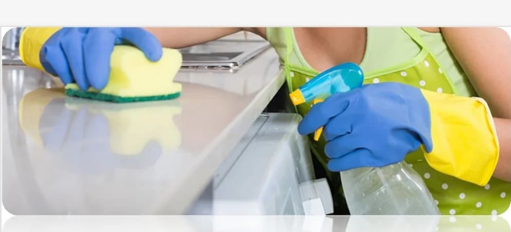 ECO & PURE CLEANING SERVICES in Bendor