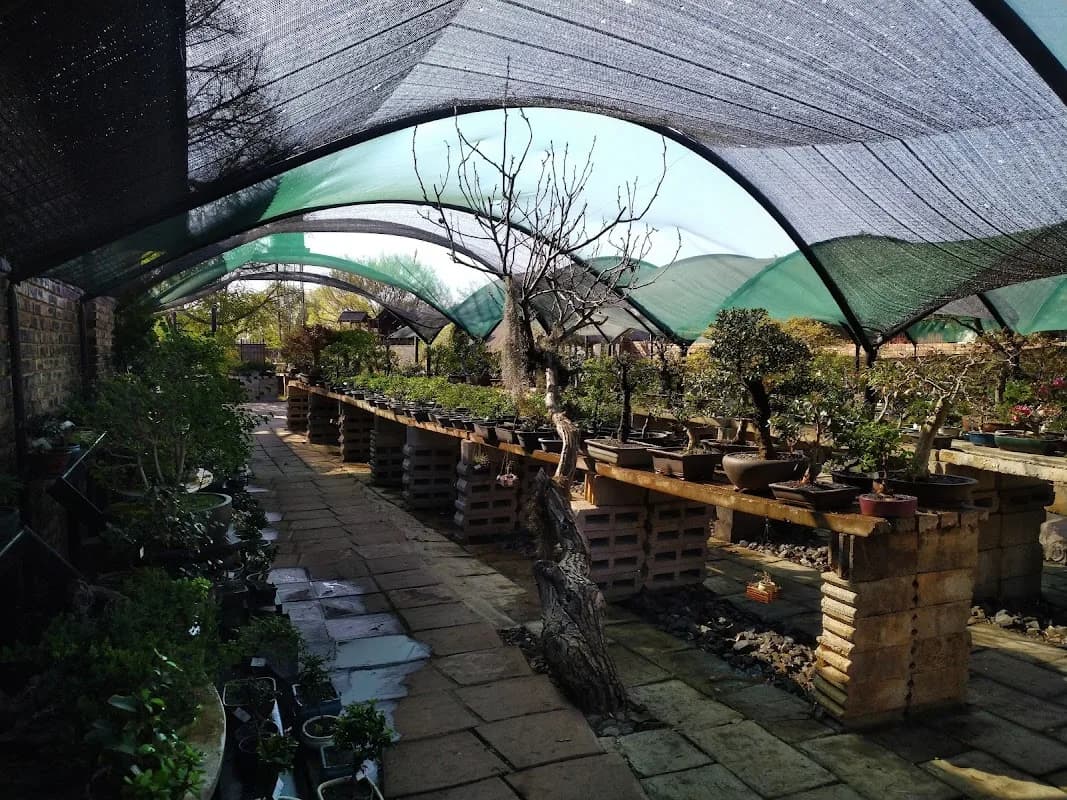 Bonsai Nursery in Grand Central