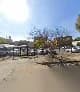 Nicol Davis & Associates in Northcliff