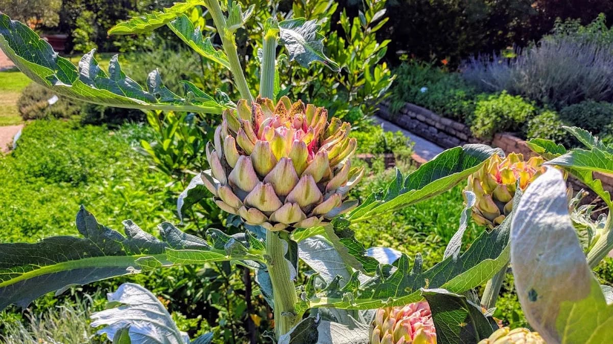 Stanler Farms Gauteng in Centurion CBD