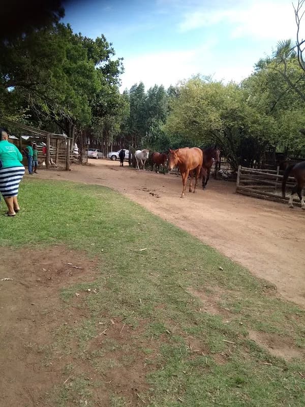 Dayspring Animal Farm in Empangeni CBD