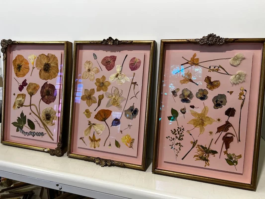 Juj Living INTERIORS & STYLE in Claremont