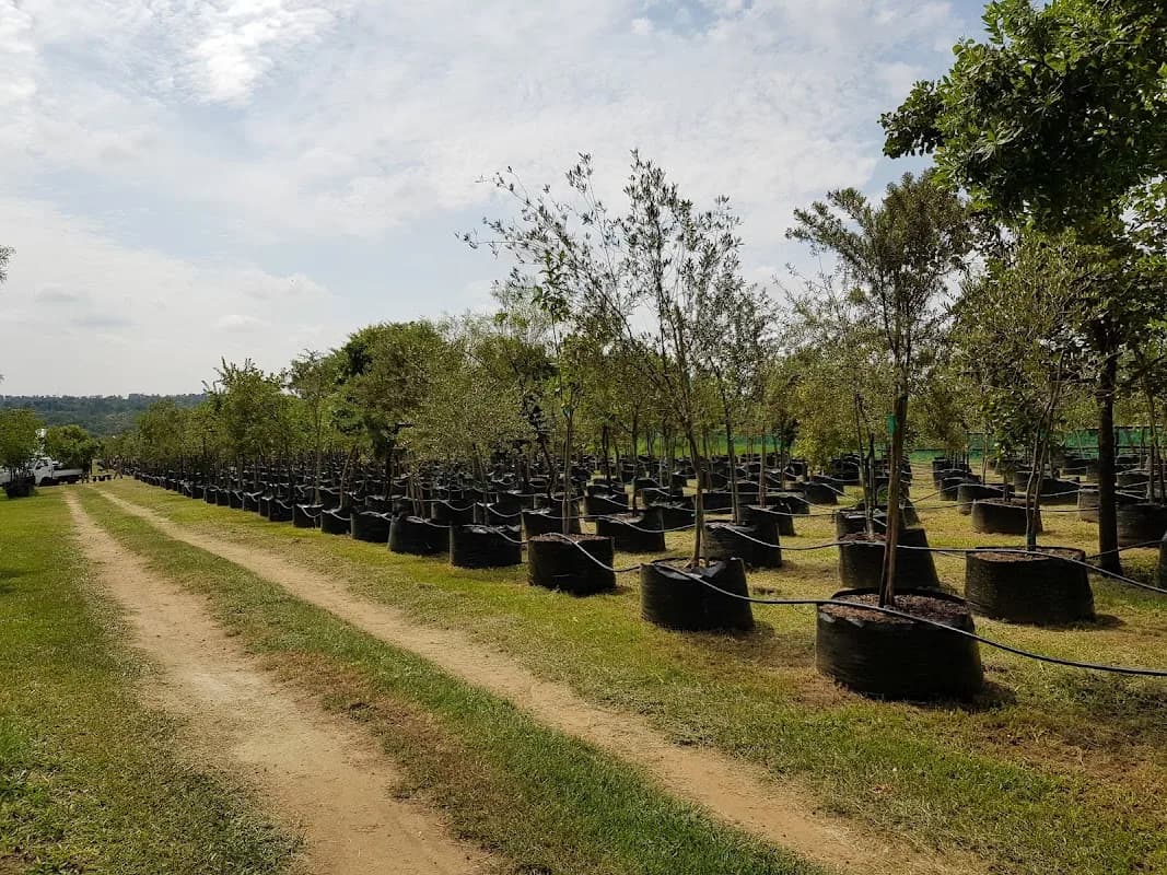 Watercombe Farm Indigenous Tree Nursery in Fourways