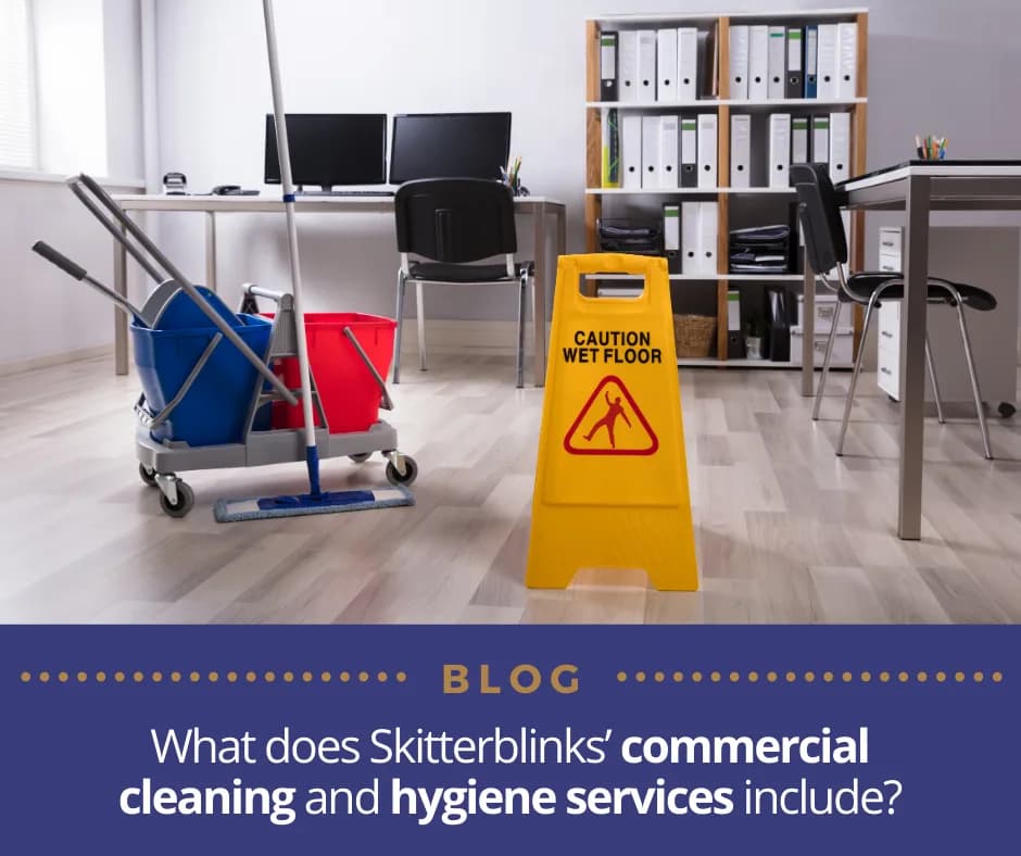 Skitterblink Cleaning Service - Silverlakes in Lynnwood