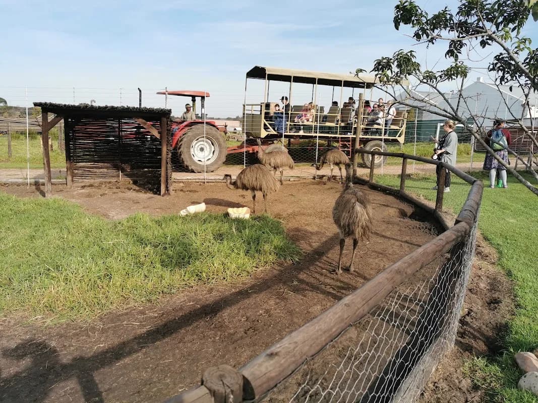 Vredenheim Big Cats & Animal Farm in Techno Park