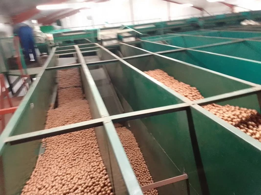 Mayo Macs Macadamias Empangeni Depot in Empangeni