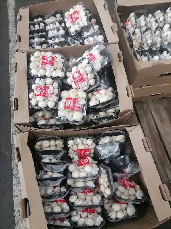 Shammah Fruits & Veggies in Durban CBD
