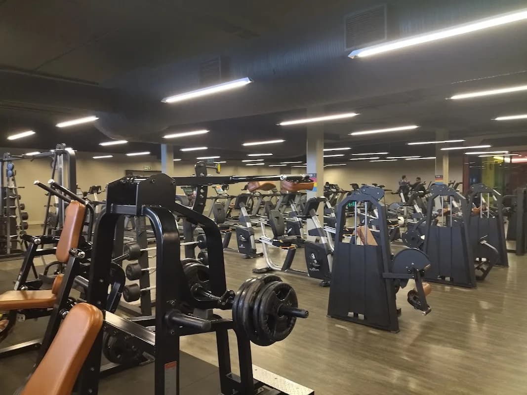 Gym Company in Arcadia