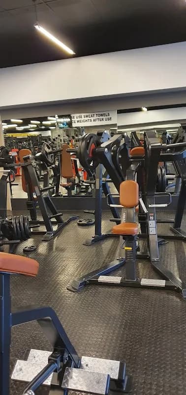 The Gym Company - Bracken City in Alberton