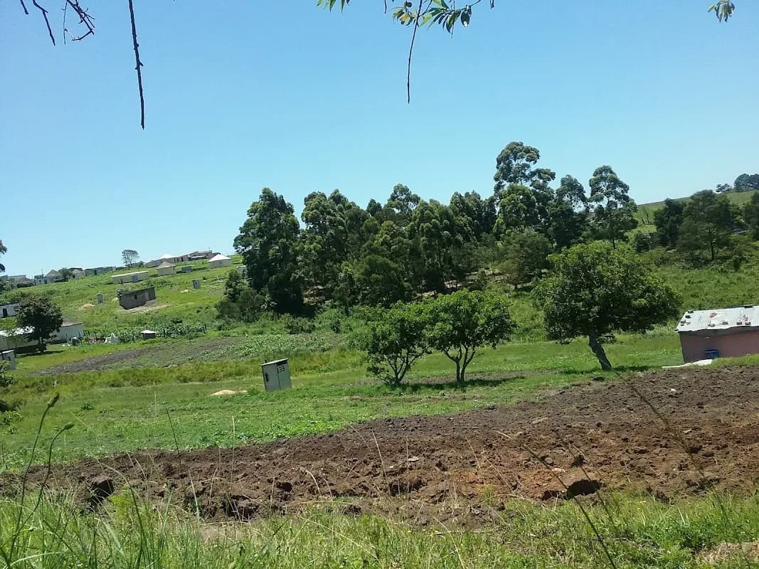 Lithapark in Khayelitsha