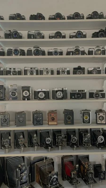 Digital Imaging Services in Rynfield