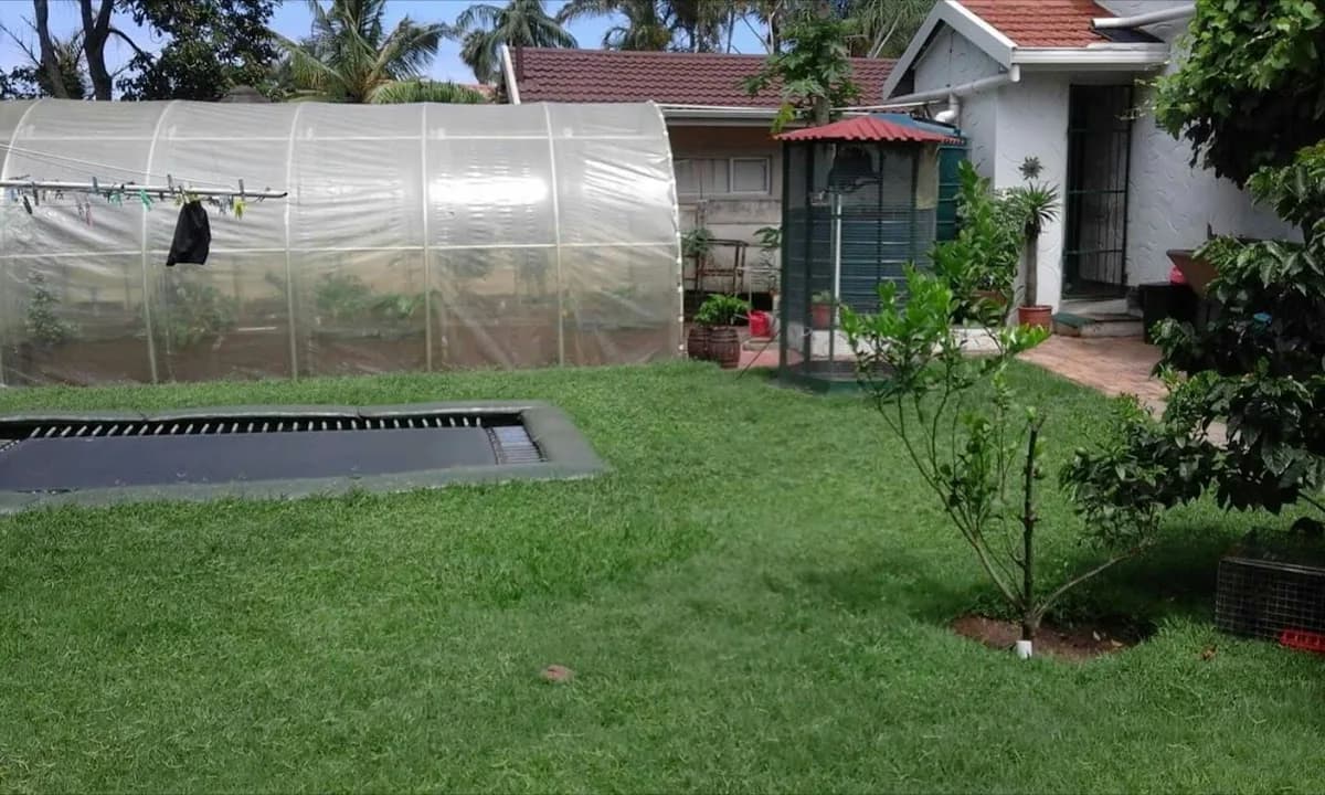 Surburban farming durban in Chatsworth