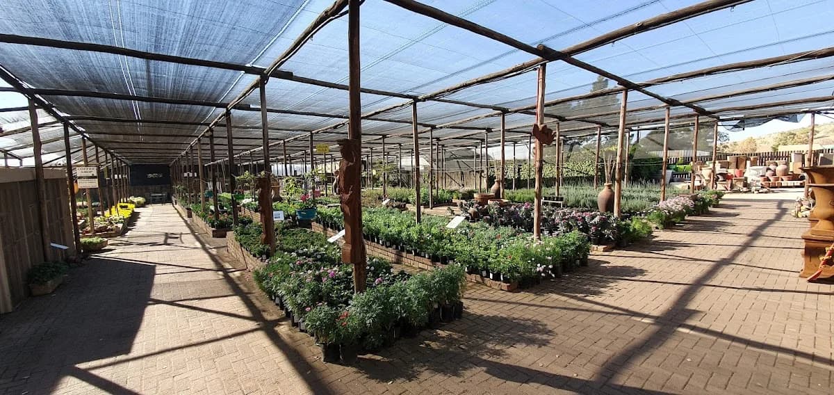 Van Den Berg's Kwekery in eMalahleni CBD