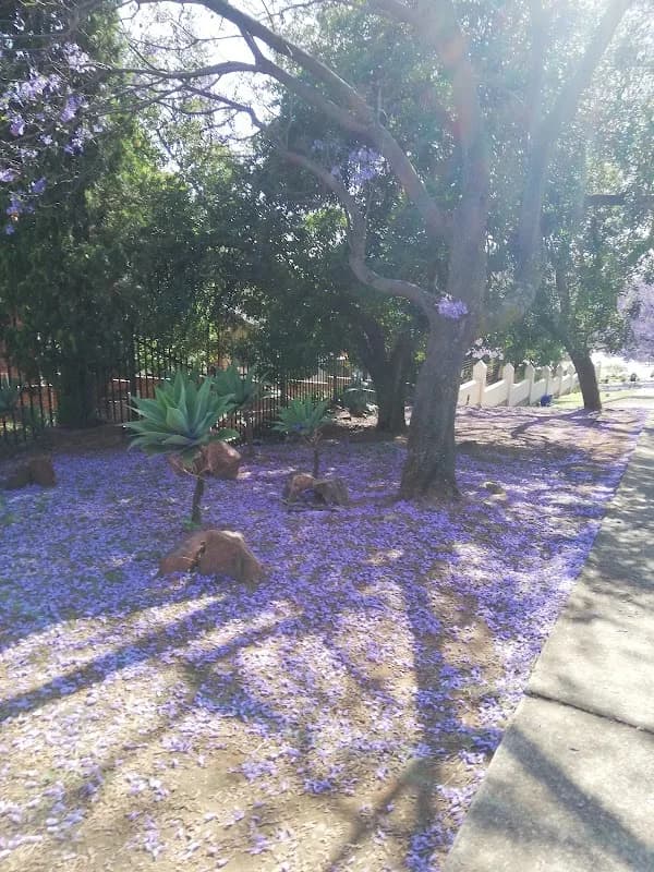 Sunflower complex in Moreleta Park