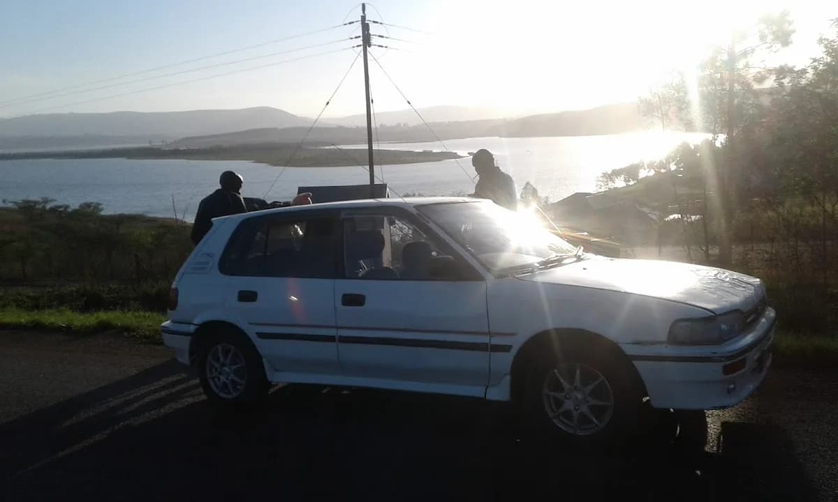 Umtata Motor & General Assessors in Ncambedlana