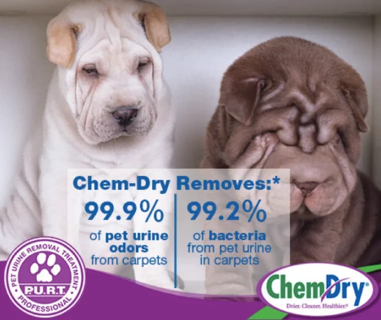 Chem-Dry Richards Bay in Meerensee