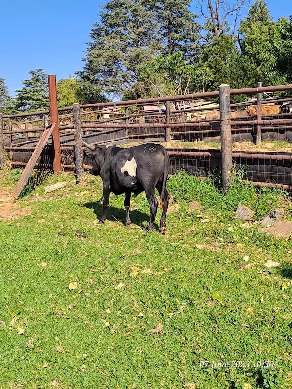 Leeds Farming in Newcastle CBD