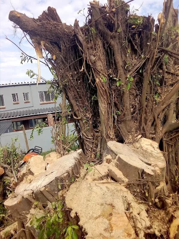 Pinetown in Pinetown CBD