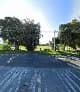 Cybernetworkers in Constantia