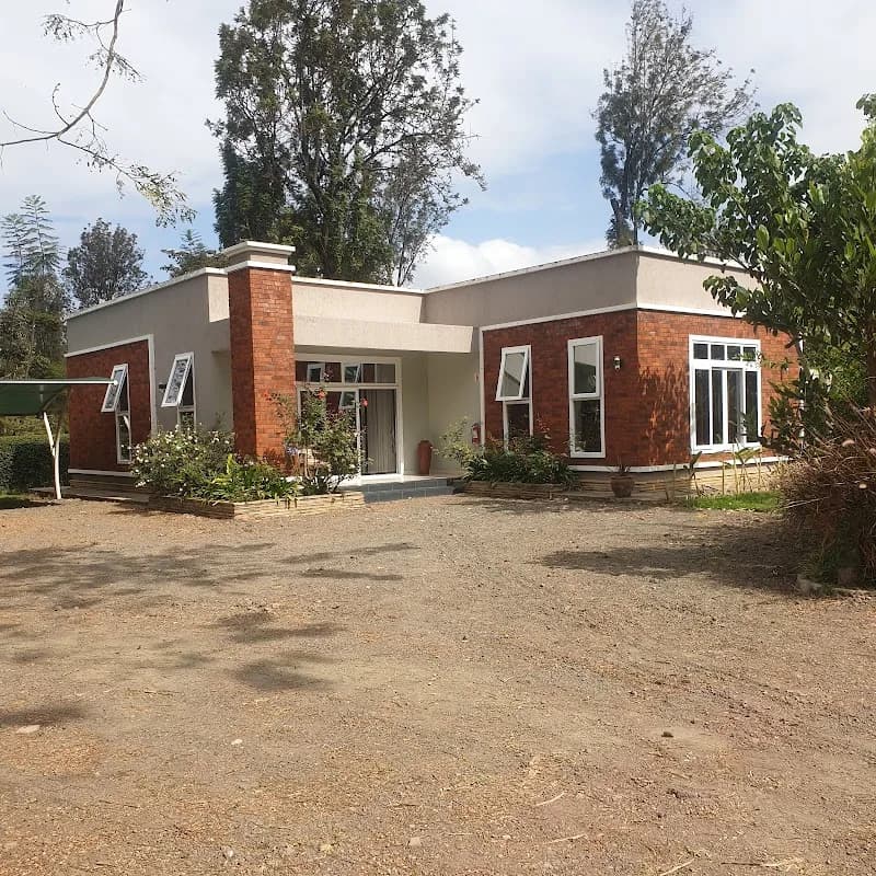 Dexter Attorneys in East Arusha
