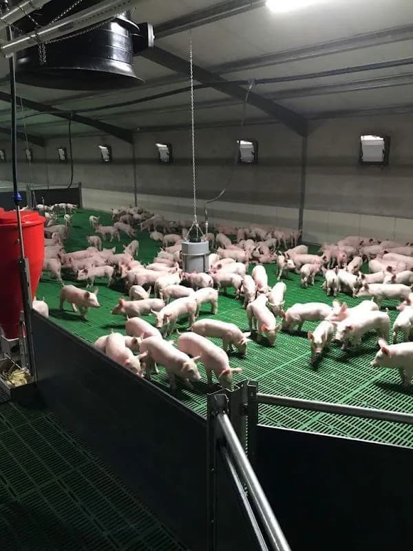 NEWQUIP AGRI SUPPLIES (PTY) LTD in Killarney