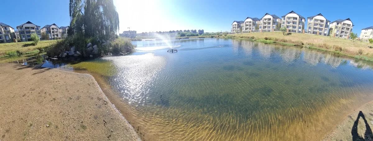 Johannesburg Water in Johannesburg CBD