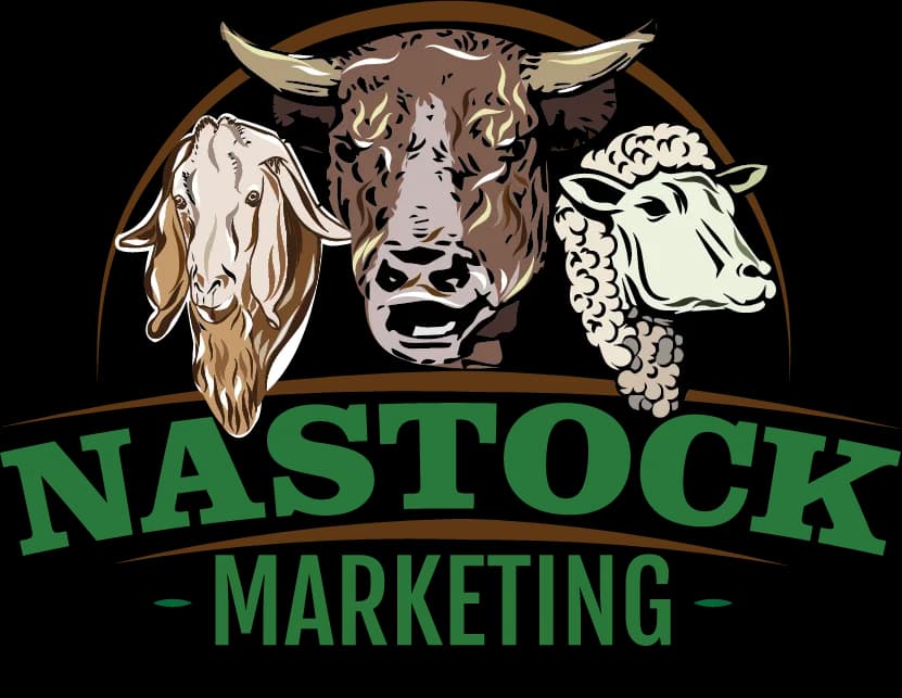 Nastock Marketing in Potchefstroom CBD