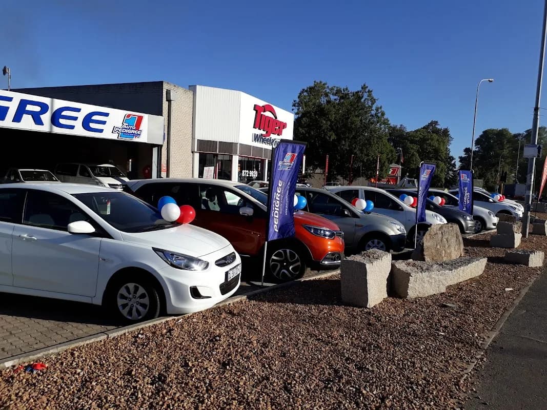 Auto Pedigree Paarl in Paarl East