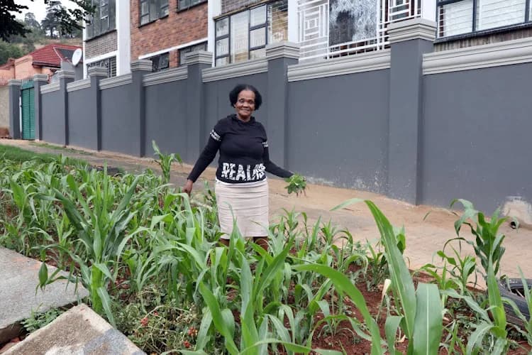 Agri Space For Women in Houghton