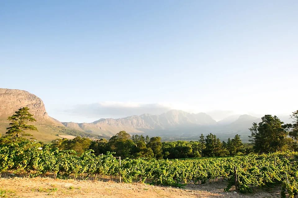 Dieu Donné Vineyards Cellar & Tasting Room in La Motte