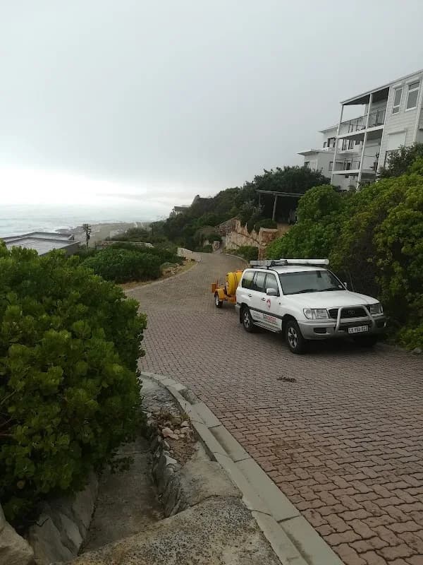 Drain Dragons - Cape Town in Clifton