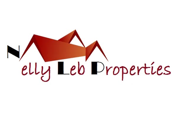 Nelly LEB Properties in Diepkloof