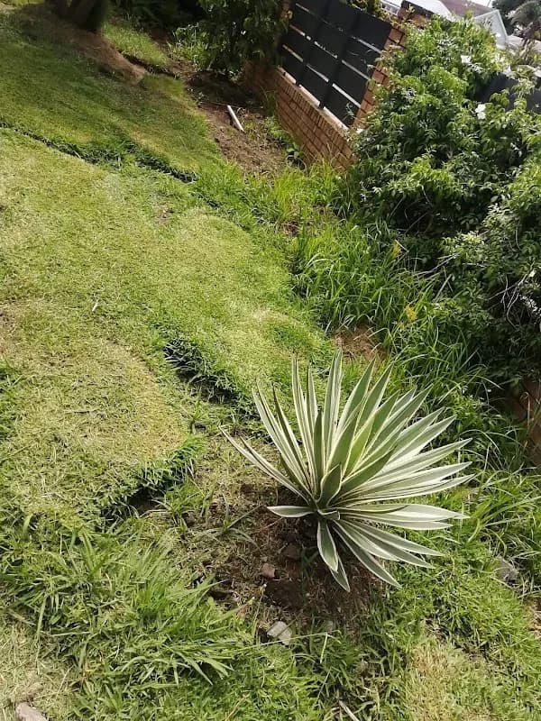 Unakho Tech group in Uitenhage