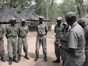 Conservation Outcomes in Wilderness