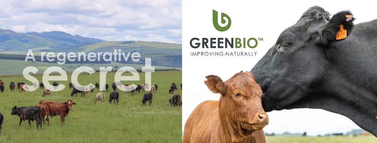 Green Bio in Silverton