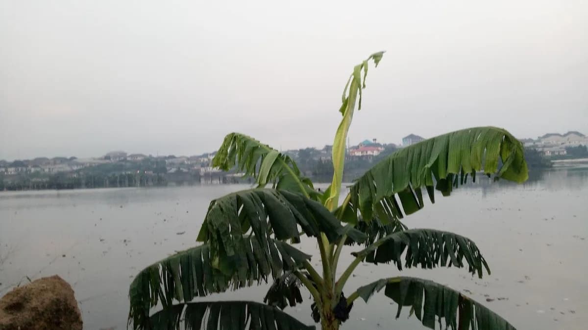 Eliminigwe Phase 2 Waterside in Eleme
