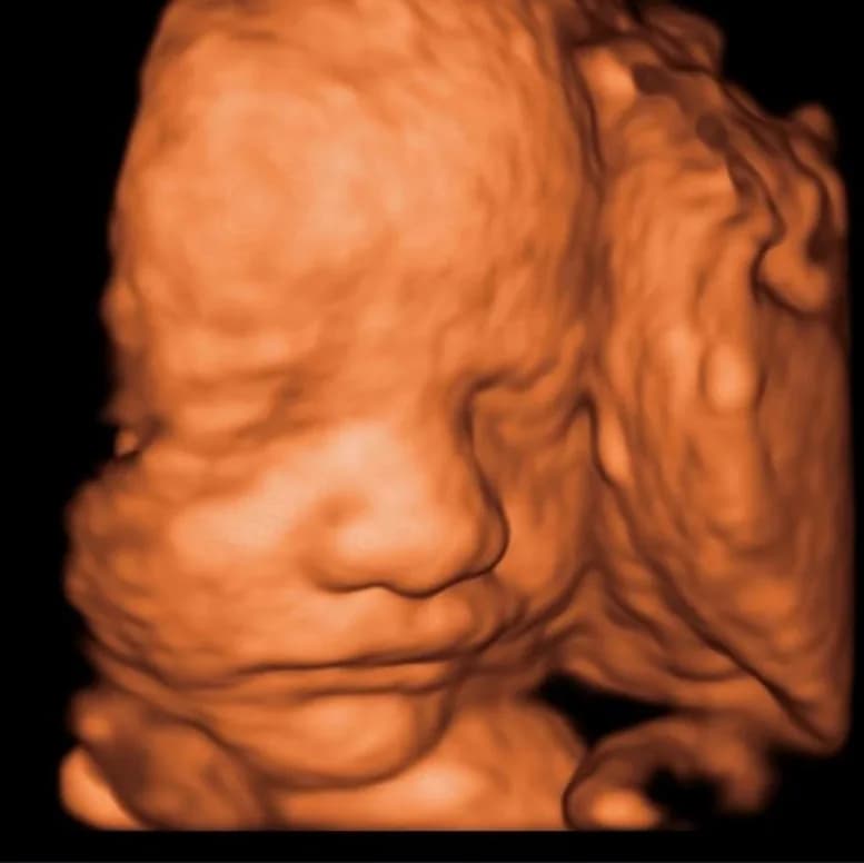 Life Scan Studio Alberton in Alberton