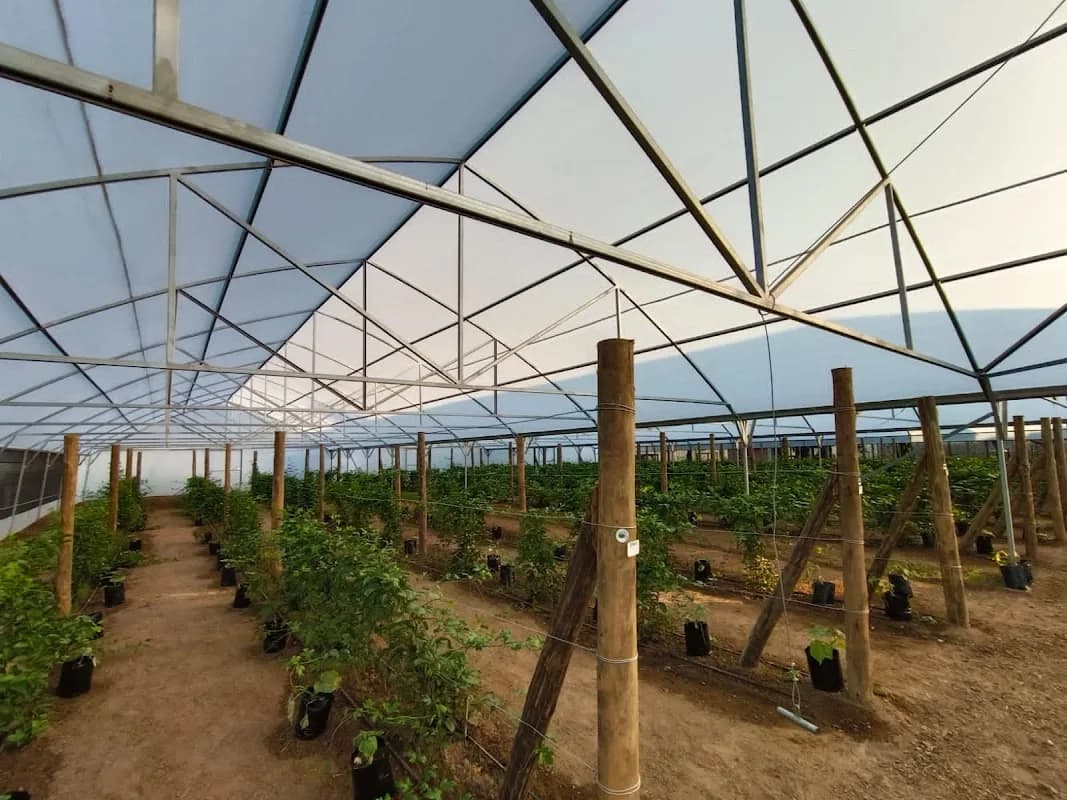 Afrika Tikkun Agriculture - Green Acres Farm in Centurion CBD