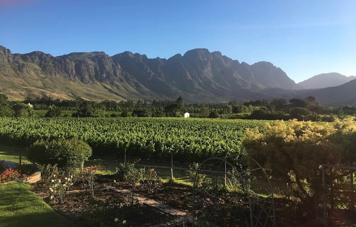 Le Vallon Farm in Franschhoek