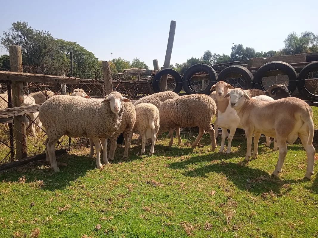 Essop's Farm in Kramerville