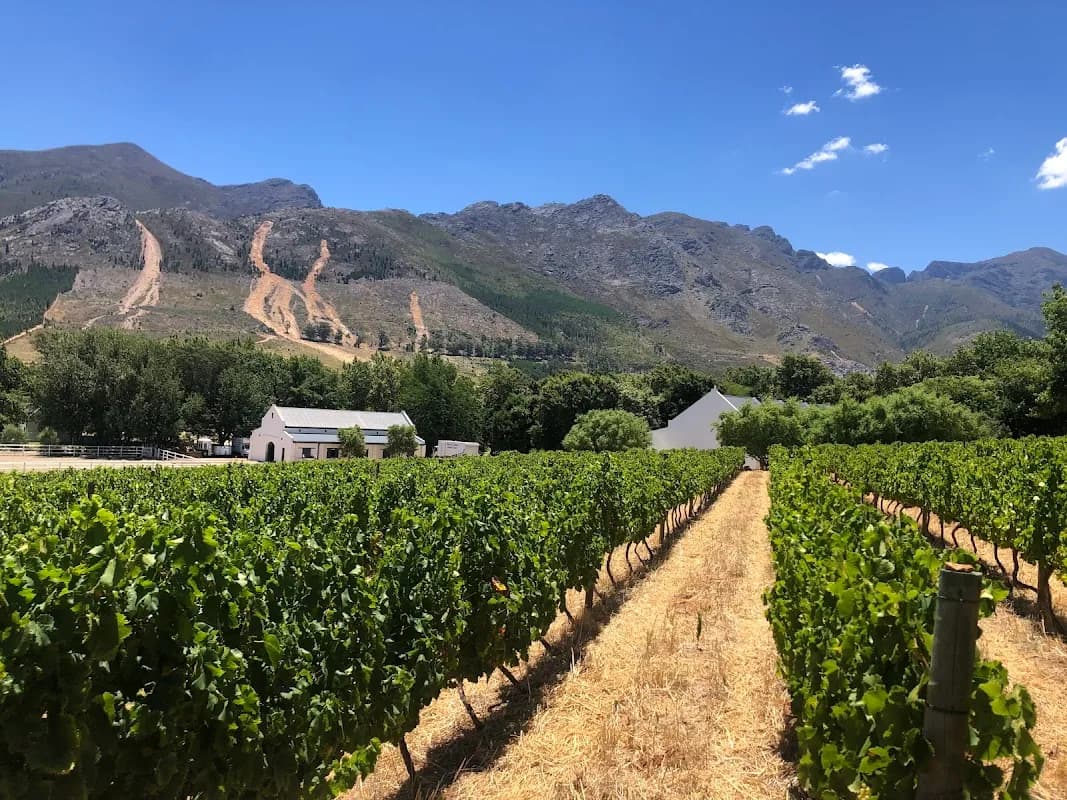 Atlas Swift in Franschhoek